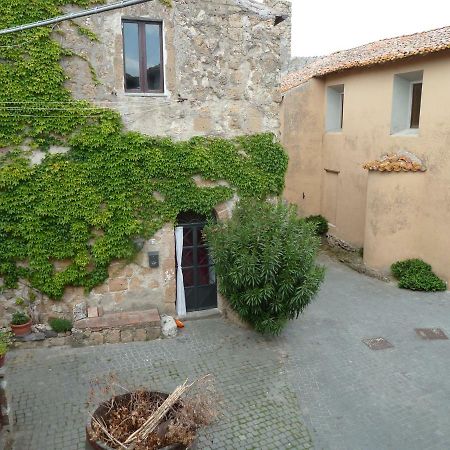 La Giuliva Di Pianiano Apartment Cellere Exterior foto