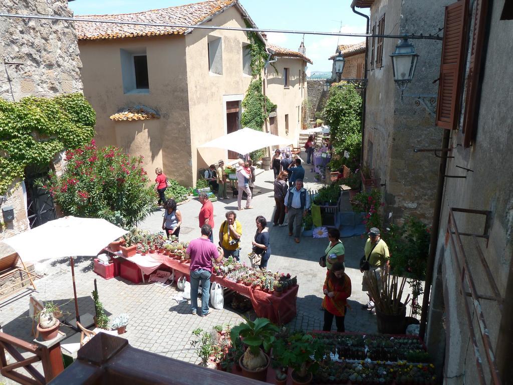 La Giuliva Di Pianiano Apartment Cellere Cameră foto