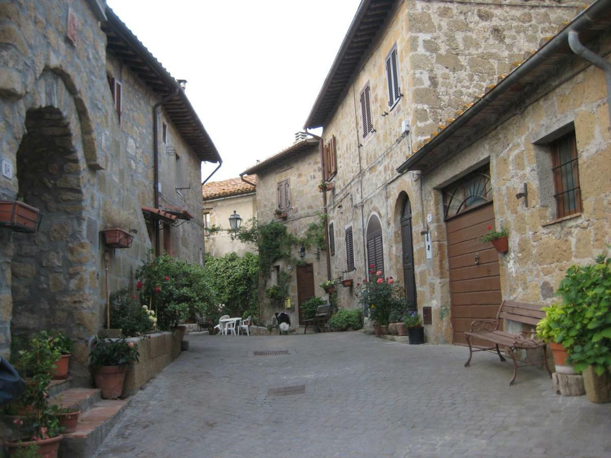 La Giuliva Di Pianiano Apartment Cellere Exterior foto